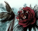 nightingale_and_the_rose_by_malimalia-d4mn4y7